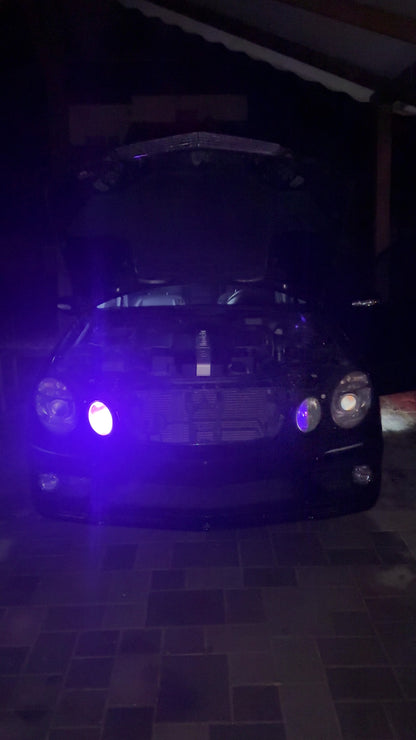 Strobe Lights I LED | Farbe